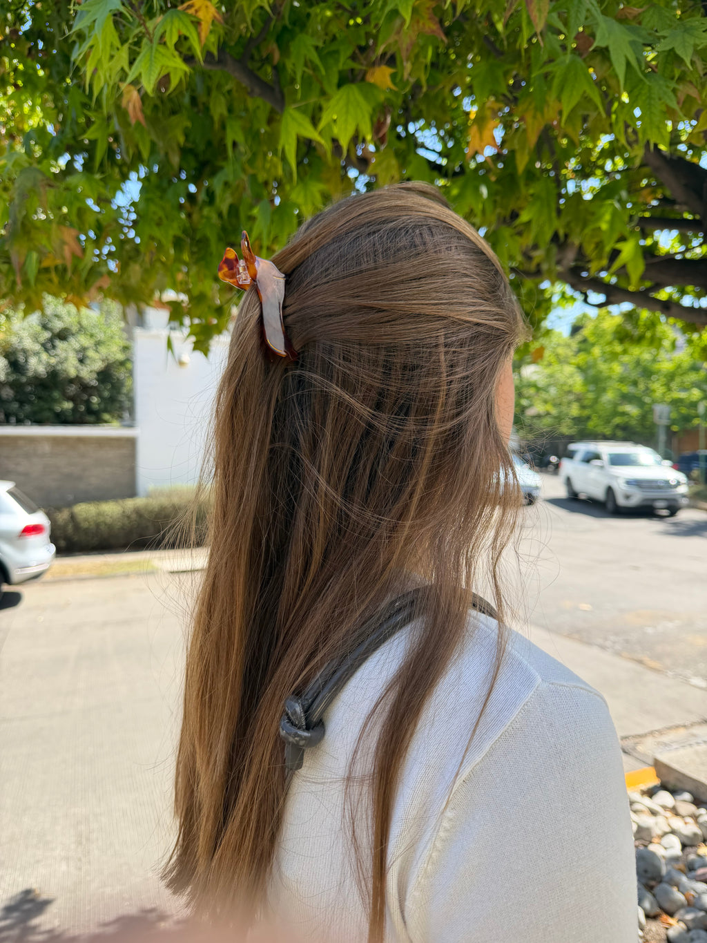 Weiner Dog Hairclip