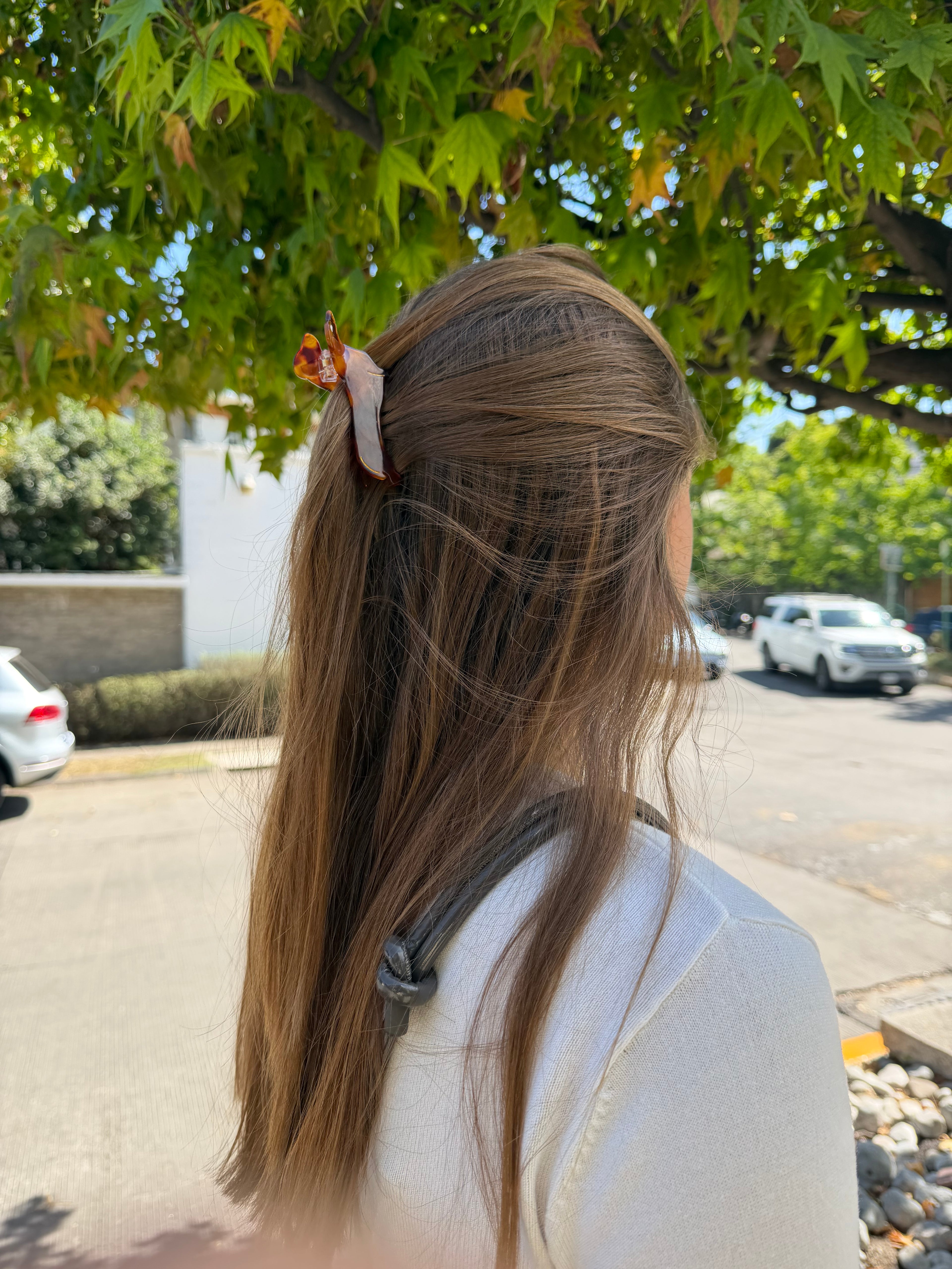 Weiner Dog Hairclip